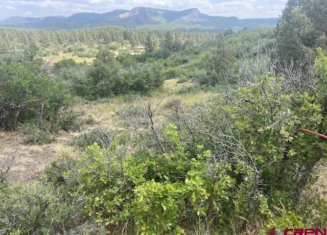 Property at 1172 Cactus Dr, Pagosa Springs, CO 81147