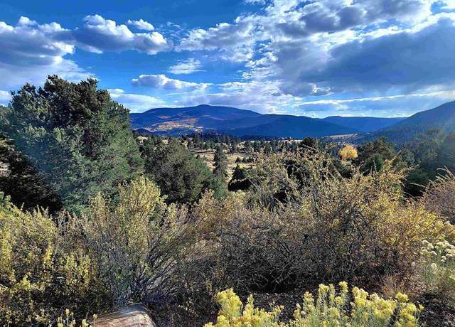 Property at 3075 Bear Creek Cir, South Fork, CO 81154