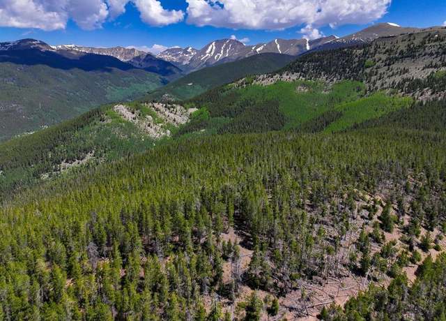 Property at 000 White Pine Upper Tomichi, Gunnison, CO 81230