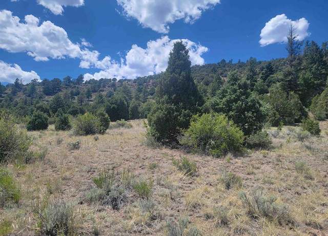 Property at 1287 Bear Creek Cir, South Fork, CO 81154