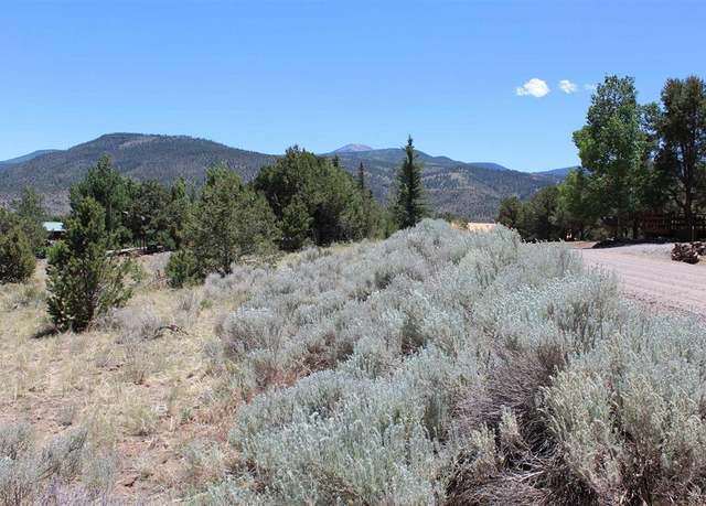 Property at 458 Kit Carson Rd, South Fork, CO 81154