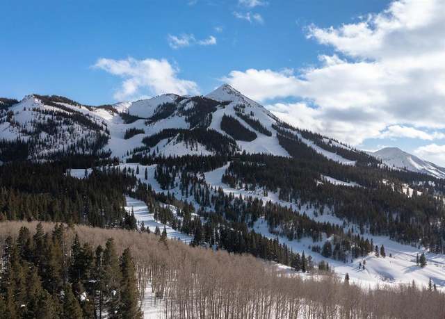 Property at E41 Prospect Dr, Mt. Crested Butte, CO 81225