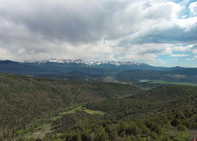 Property at TBD Cr 4b, Ridgway, CO 81432