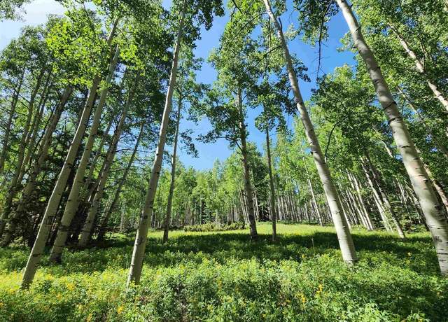 Property at TBD 6th St, Jasper, CO 81144