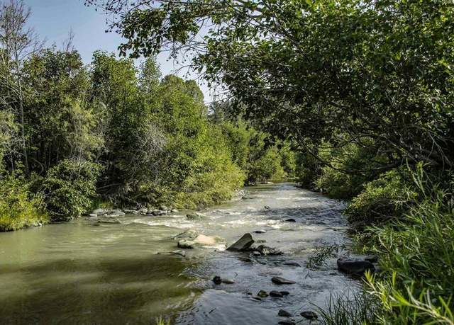 Property at 101 County Road 339, Pagosa Springs, CO 81147, 2 beds, 1 bath