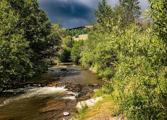 Property at 101 County Road 339, Pagosa Springs, CO 81147, 2 beds, 1 bath