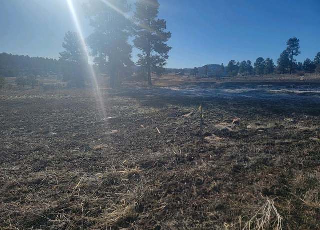 Property at 660 Trails Blvd, Pagosa Springs, CO 81147
