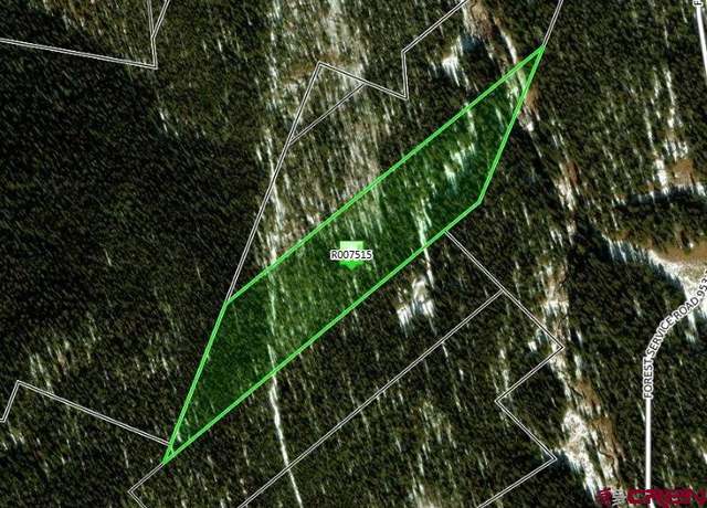 Property at TBD Osceola, Almont, CO 81210