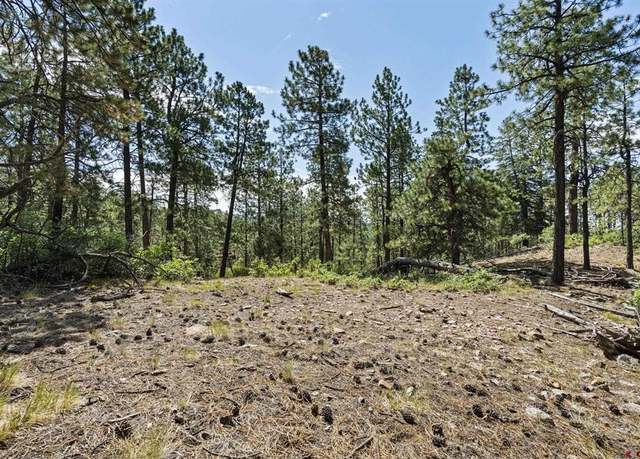 Property at 319 Blue Ridge Cir, Bayfield, CO 81122