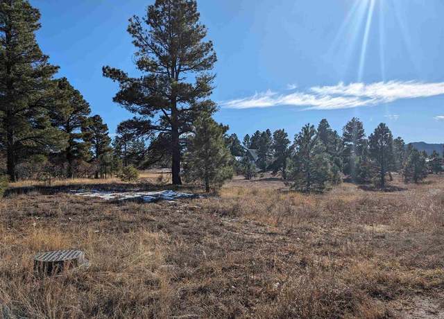 Property at 129 Park Ave, Pagosa Springs, CO 81147