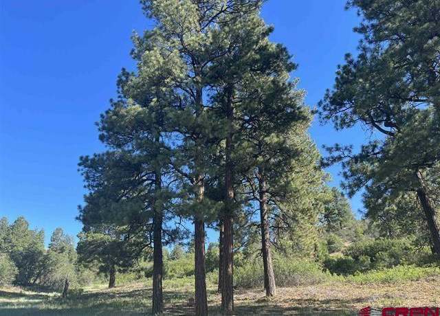 Property at 1288 Crowley Dr, Chromo, CO 81128