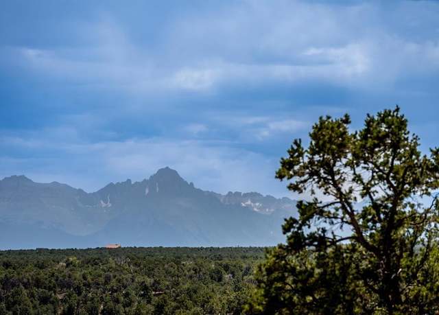 Property at 277 Cotton Ln, Montrose, CO 81403