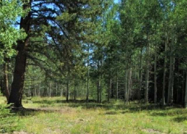 Property at 202 Hazel Lake Dr, Cimarron, CO 81220