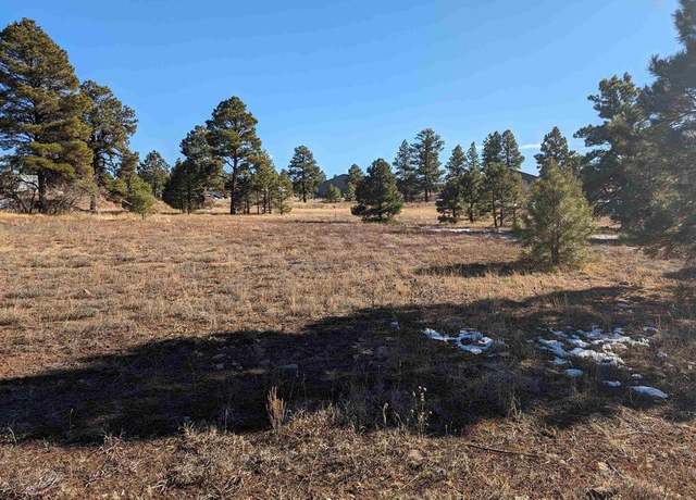Property at 147 Park Ave, Pagosa Springs, CO 81147