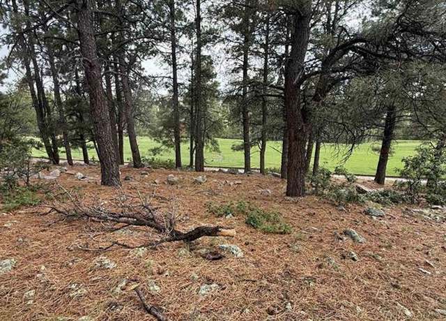 Property at 94 W Golf Pl, Pagosa Springs, CO 81147