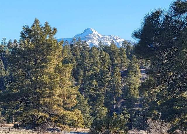 Property at 642 Trails Blvd, Pagosa Springs, CO 81147