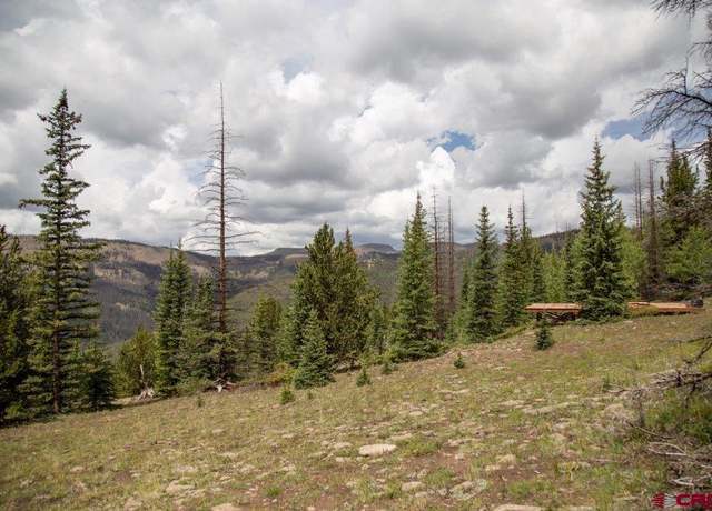 Property at XYZ Forest Service Road 503 Rd, Creede, CO 81130