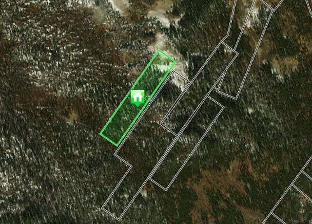 Property at TBD White Pine Upper Tomichi, White Pine, CO 81248