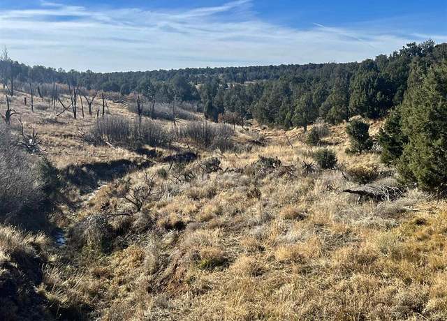 Property at 000 Cr 116 Rd, Hesperus, CO 81326
