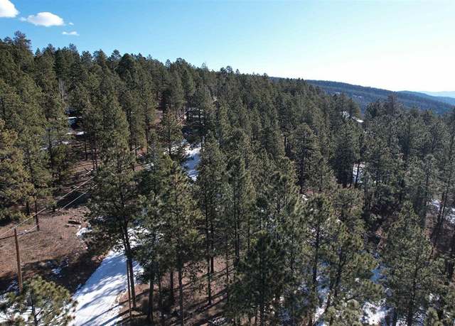 Property at 1000 Skyline Dr, Bayfield, CO 81122