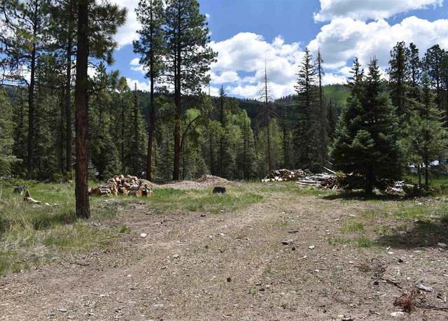 Property at 264 Ponderosa Homes Rd, Bayfield, CO 81137