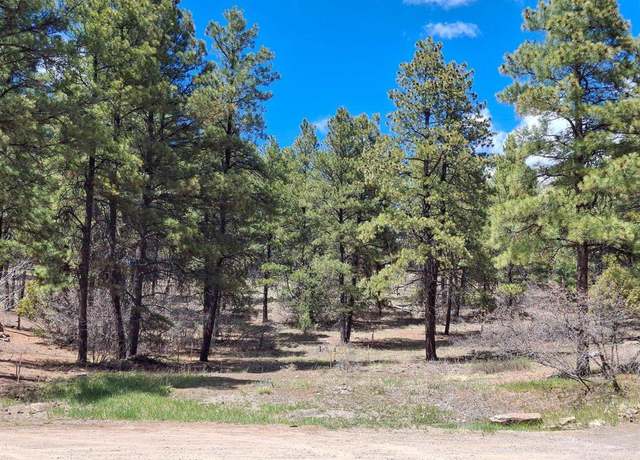 Property at 80 Sandstone Ct, Pagosa Springs, CO 81147