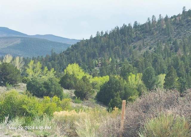 Property at 2166 Bear Creek Cir, South Fork, CO 81154