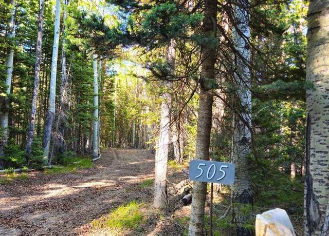Property at 505 Wildflower Dr, Cimarron, CO 81220