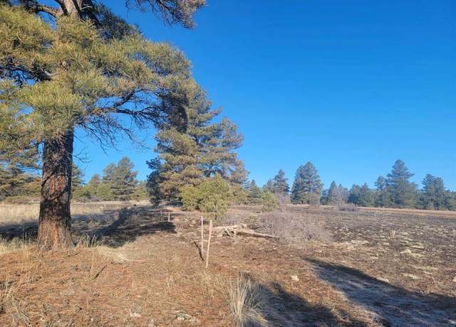 Property at 176 Landau, Pagosa Springs, CO 81147