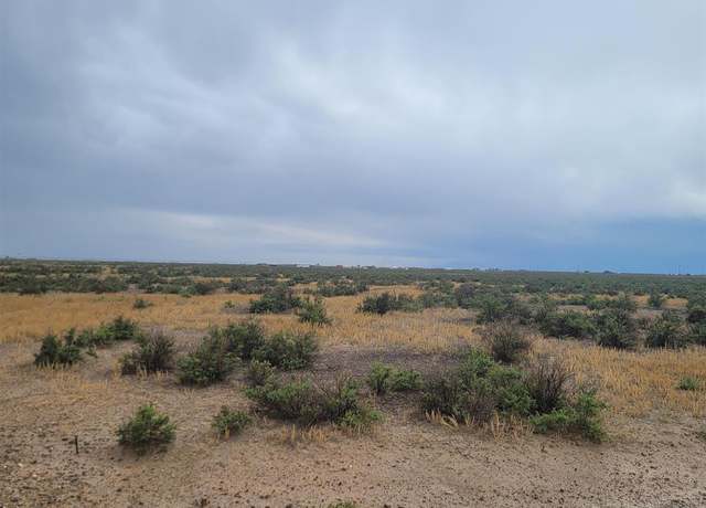 Property at 58086 Betty Lee Dr, Moffat, CO 81143