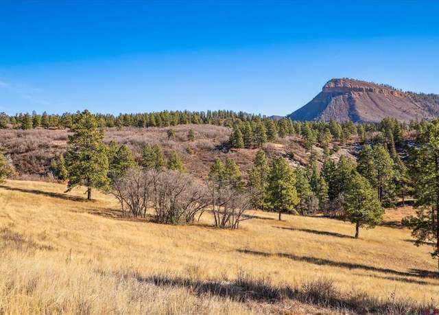 Property at Parcel F Laughing Dog Ln, Durango, CO 81301