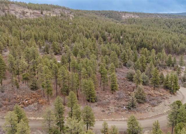 Property at 199 Starling Cir, Pagosa Springs, CO 81147