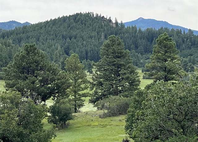 Property at 1240 Crowley Dr, Chromo, CO 81128
