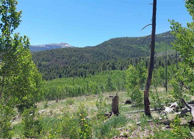 Property at 655 Elk Ct, South Fork, CO 81154