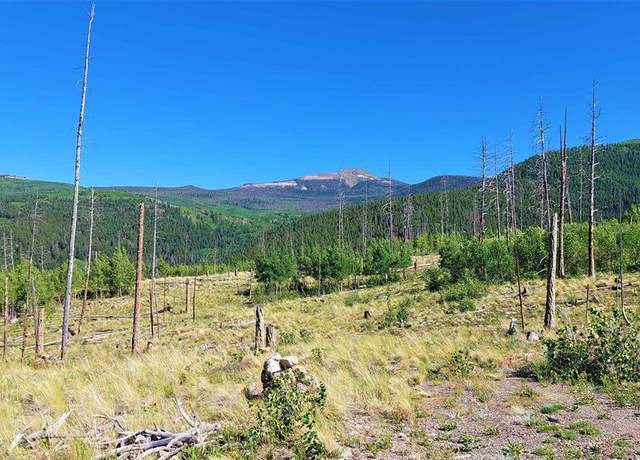 Property at 535 Elk Ct, South Fork, CO 81154