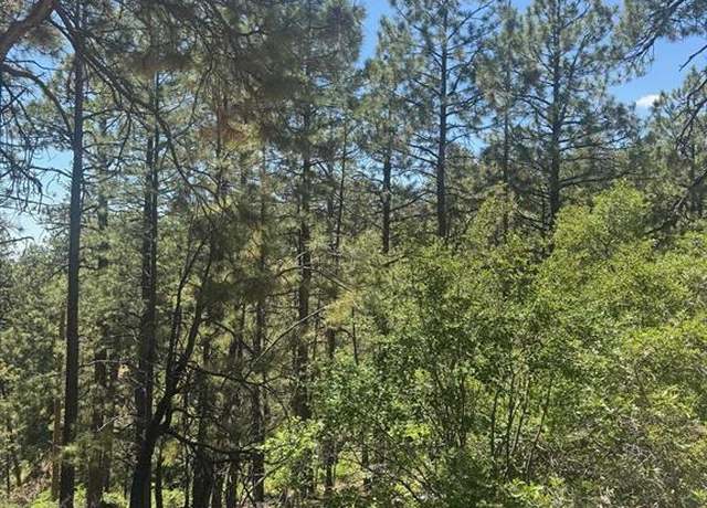 Property at 282 Blue Ridge Cir, Bayfield, CO 81122