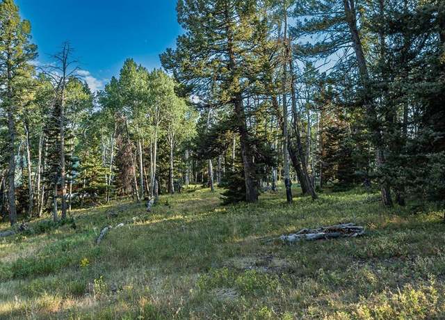 Property at 170 Crest Dr, Cimarron, CO 81220