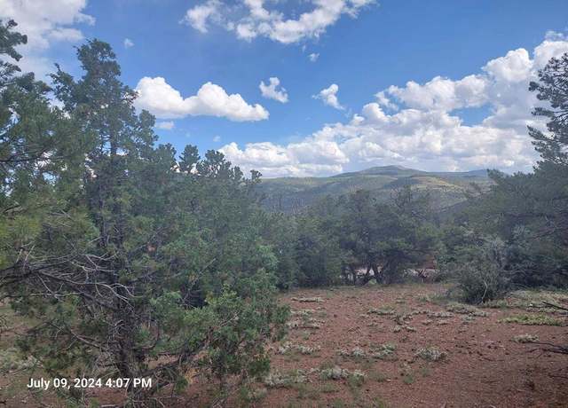 Property at 493 Loveland Rd, South Fork, CO 81154