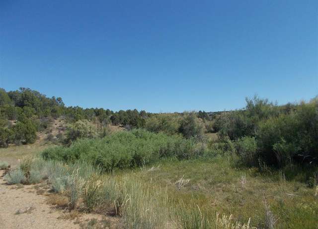 Property at 12023 Road 12, Dove Creek, CO 81324