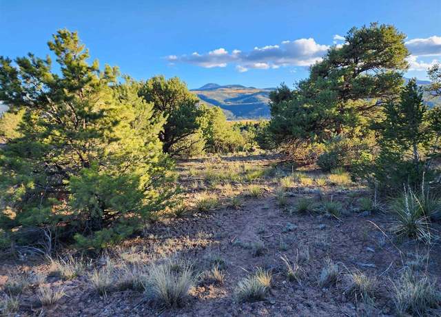 Property at 580 Kit Carson Rd, South Fork, CO 81154