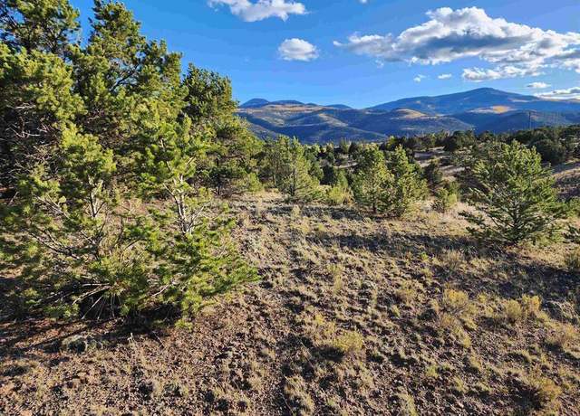 Property at 559 Orondoa Rd, South Fork, CO 81154