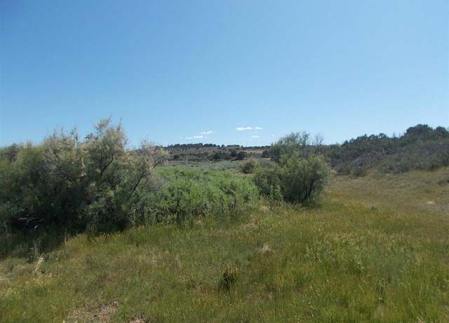 Property at Road 12, Dove Creek, CO 81324