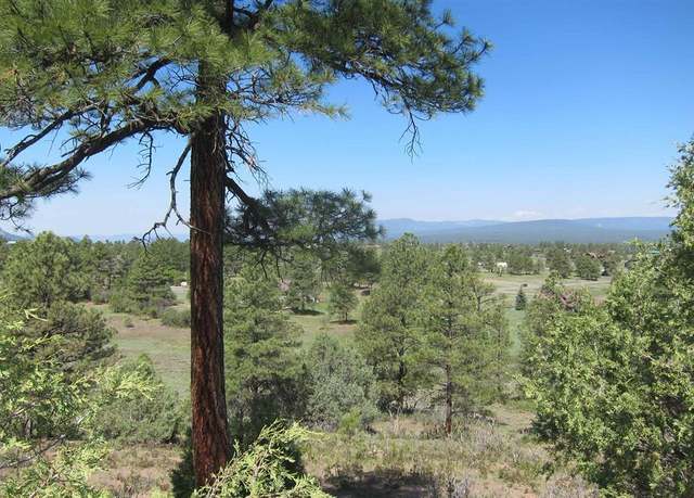Property at 295 Sage Cir, Pagosa Springs, CO 81147