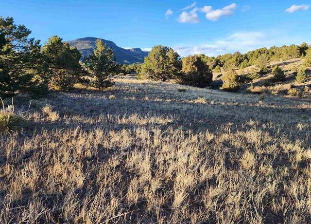 Property at 512 Kit Carson Rd, South Fork, CO 81154