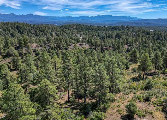 Property at 128 S Feather Ct, Pagosa Springs, CO 81147