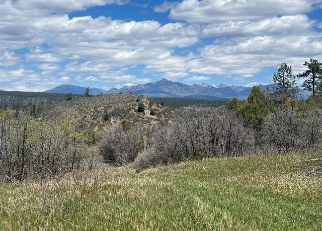 Property at 1030D County Rd 139, Pagosa Springs, CO 81147