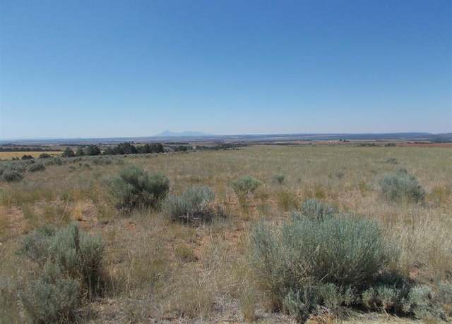 Property at TBD Road 12, Dove Creek, CO 81324