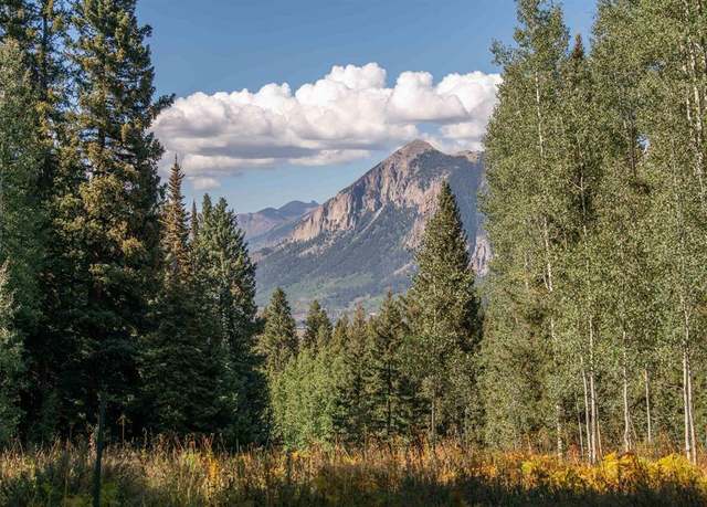 Property at 1251 Red Mountain Ranch Lower Loop, Crested Butte, CO 81224