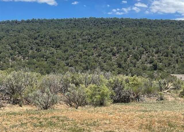 Property at 745 SE Pinyon St, Cedaredge, CO 81413