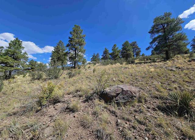 Photo of 358 Escondida Dr, South Fork, CO 81154
